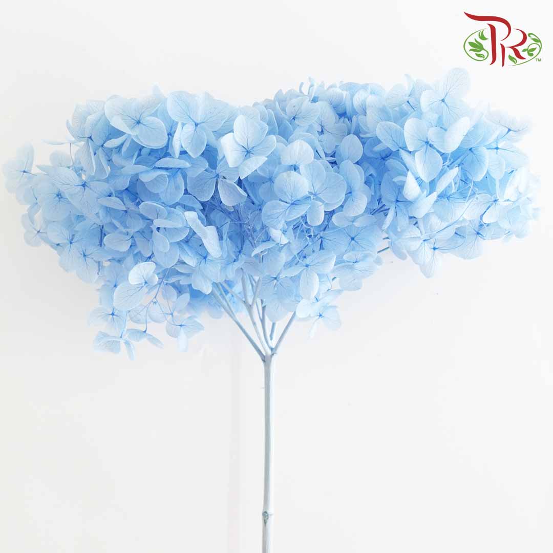 Preservative Hydrangea - Light Blue / Per Stem - Pudu Ria Florist Southern