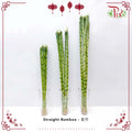 Straight Bamboo 80cm - 直竹 - Pudu Ria Florist Southern