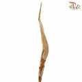 Dry Strelitzie Leaves Natural - Pudu Ria Florist Southern