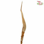 Dry Strelitzie Leaves Natural - Pudu Ria Florist Southern