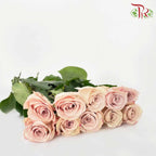 Rose Mondial Quicksand (8-10 Stems) - Pudu Ria Florist Southern