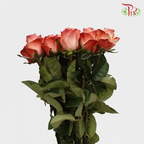 Rose Emotion (8-10 Stems) - Pudu Ria Florist Southern
