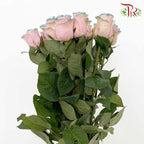 Rose Mondial Dyed Pink Horizont (8-10 Stems) - Pudu Ria Florist Southern