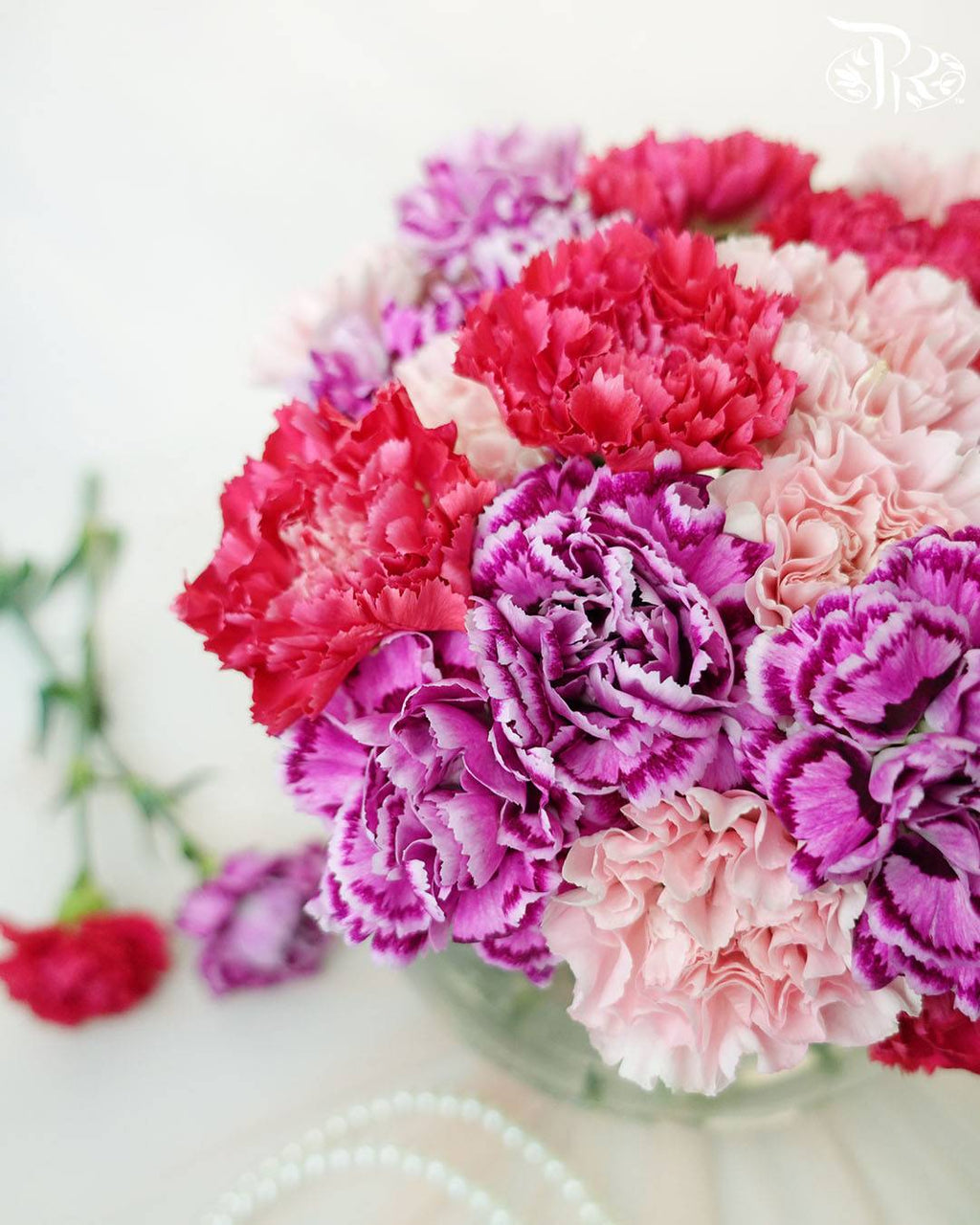 Limited Mixed Carnations - Pudu Ria Florist Southern