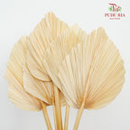 Dry Palm Dyed (5 Stems) - Pudu Ria Florist Southern