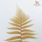 Preservative Fern Yellow - Pudu Ria Florist Southern