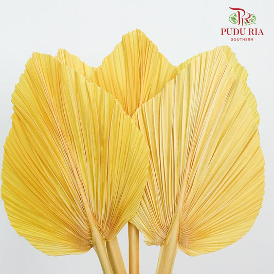 Dry Palm Dyed Yellow(5 Stems)