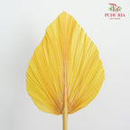 Dry Palm Dyed Yellow(5 Stems) - Pudu Ria Florist Southern