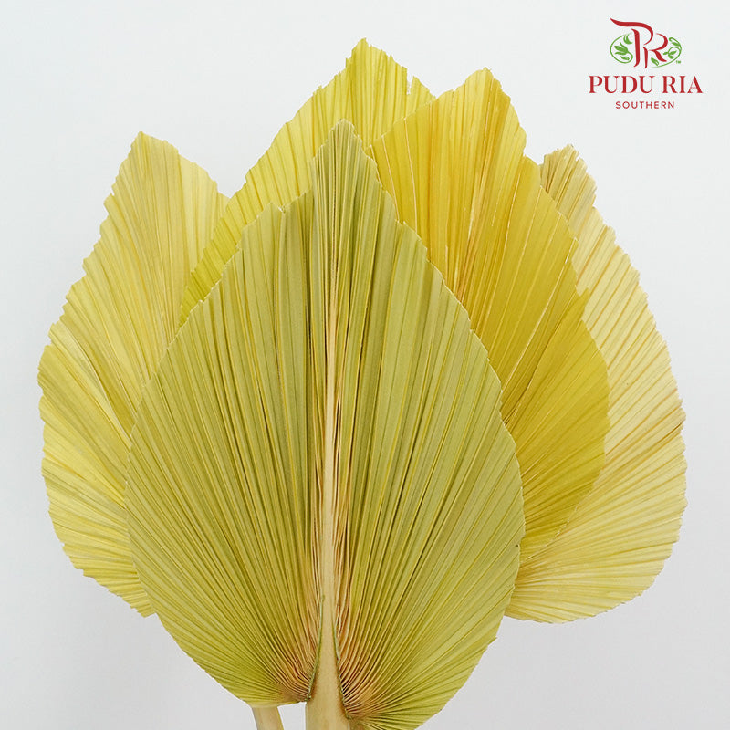 Dry Palm Dyed Yellow Green (5 Stems) - Pudu Ria Florist Southern