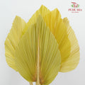 Dry Palm Dyed Yellow Green (5 Stems) - Pudu Ria Florist Southern