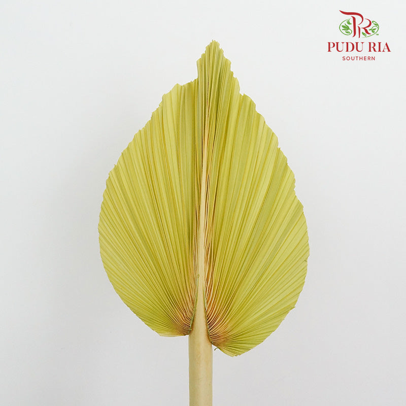 Dry Palm Dyed Yellow Green (5 Stems) - Pudu Ria Florist Southern