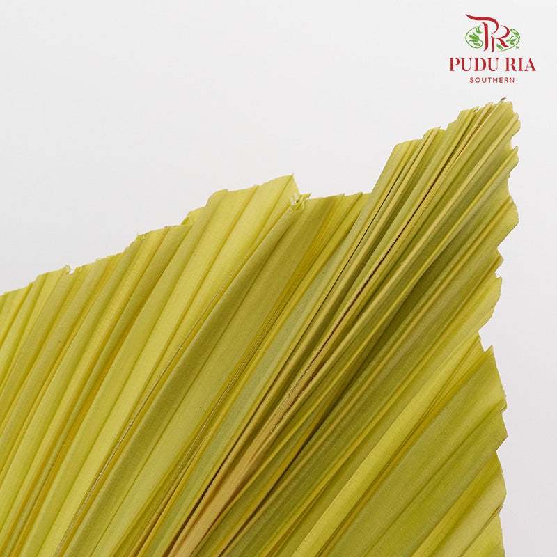 Dry Palm Dyed Yellow Green (5 Stems) - Pudu Ria Florist Southern