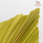 Dry Palm Dyed Yellow Green (5 Stems) - Pudu Ria Florist Southern