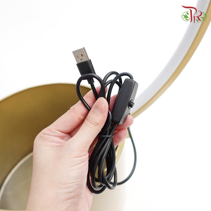 22D01-3 Gold Pot (With LED Light) - Pudu Ria Florist Southern
