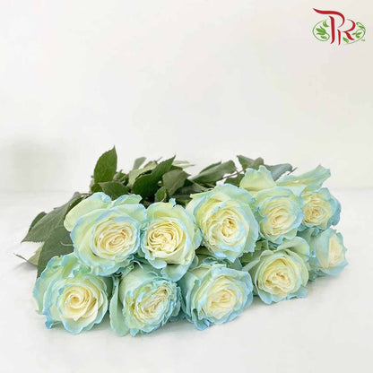 Rose White Sky (8-10 Stems) - Pudu Ria Florist Southern