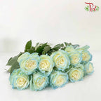 Rose White Sky (8-10 Stems) - Pudu Ria Florist Southern