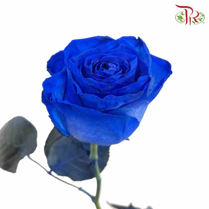 Rose Mondial Dyed Blue (8-10 Stems) - Pudu Ria Florist Southern