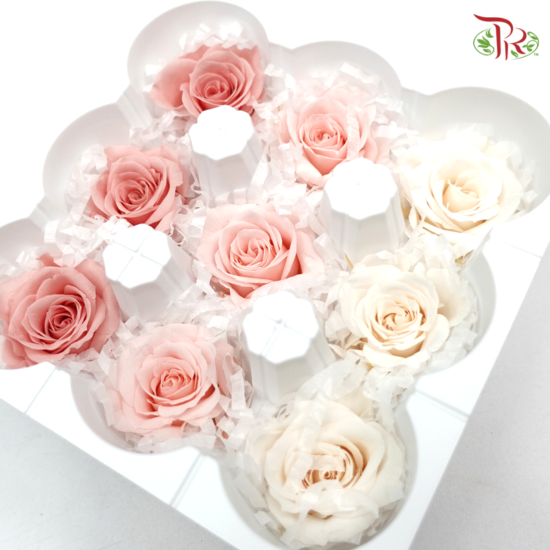 Preservative Rose Kanon - Light Colors - Pudu Ria Florist Southern
