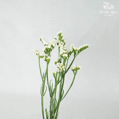 Statice White - Pudu Ria Florist Southern