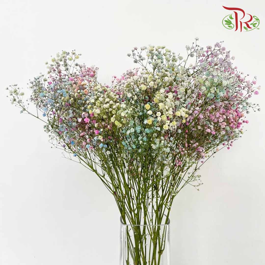 Baby's Breath Rainbow (8-10 Stems) - Pudu Ria Florist Southern
